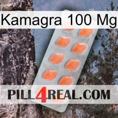 Kamagra100 Mg 26